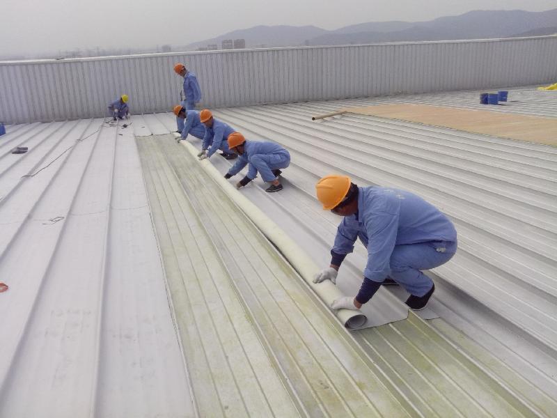 Sơ lược các hạng mục thực hiện dịch vụ sửa chữa nhà xưởng do Chống Thấm Bình Dương thực hiện